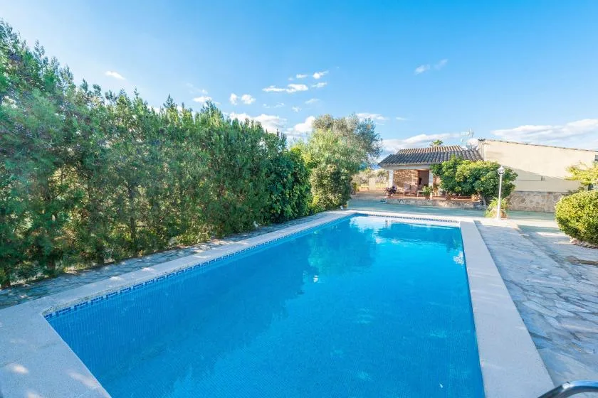 Una piscina está junto a un seto y un patio pavimentado.
