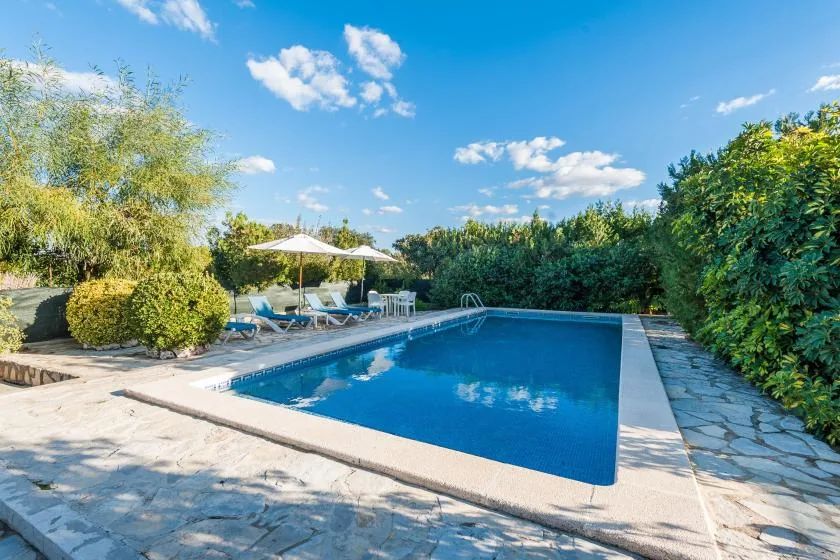 Una piscina al aire libre está rodeada de pavimento de piedra, vegetación y asientos.