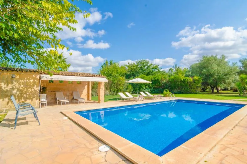 Una piscina al aire libre está rodeada por un patio de baldosas y vegetación.