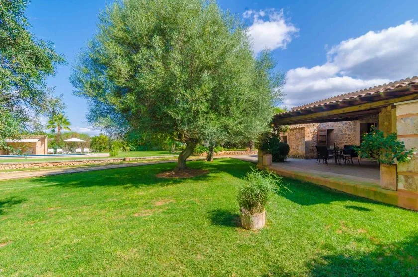 Una zona de patio con césped y un árbol grande junto a un espacio cubierto con asientos.