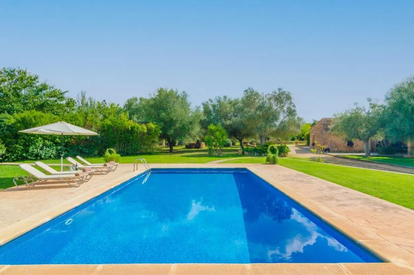 Piscina al aire libre rodeada de una terraza pavimentada, césped y árboles.
