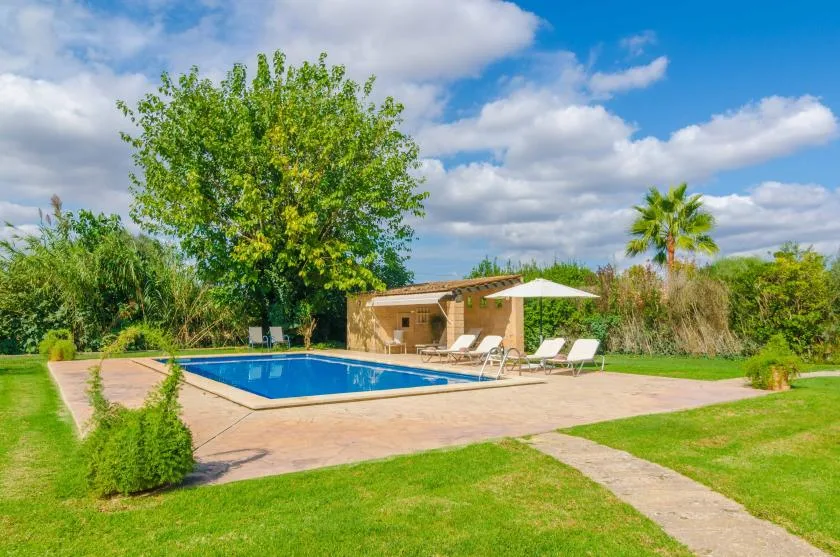 Una piscina al aire libre está junto a un patio pavimentado y un césped verde.