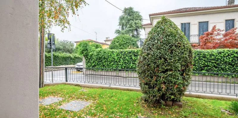 A small garden with grass, a trimmed shrub, and a metal railing.