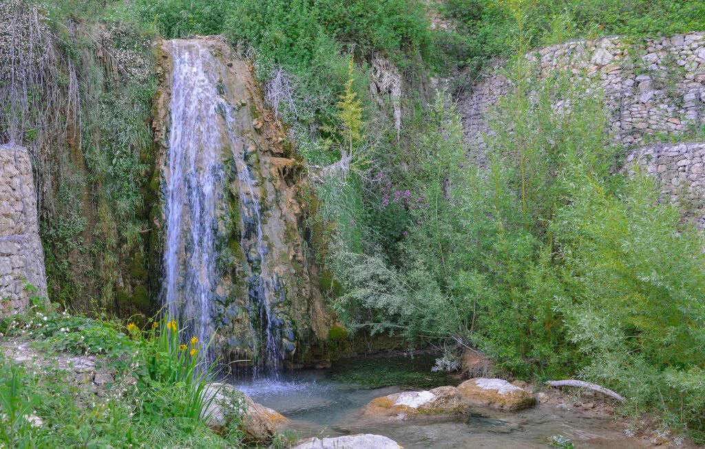 Una cascada desemboca en una poza poco profunda rodeada de vegetación verde.
