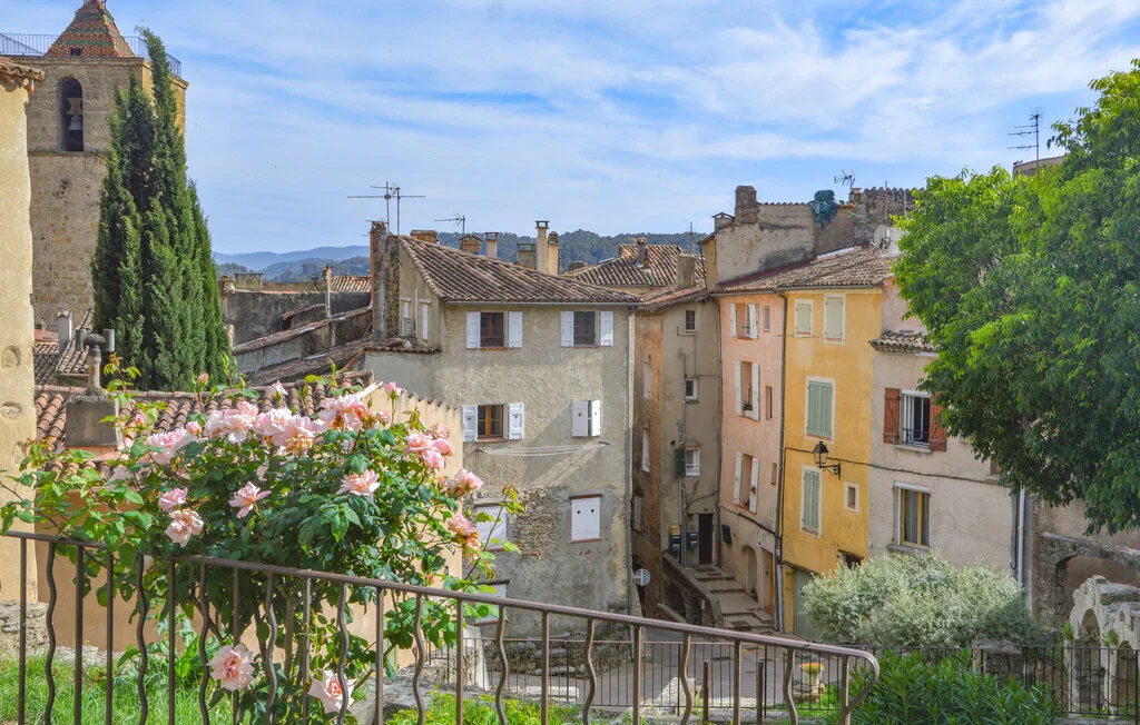 Escena de un pueblo en una ladera, con edificios cercanos y plantas con flores en primer plano.