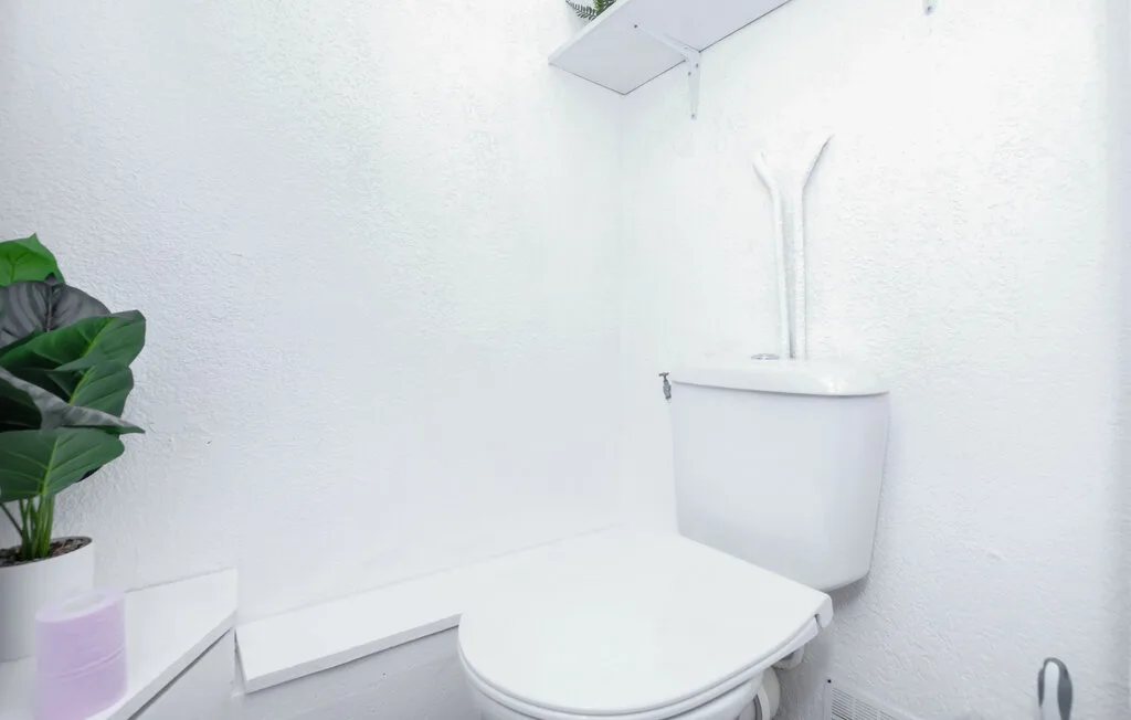 Un baño luminoso con un inodoro blanco y una planta frondosa.