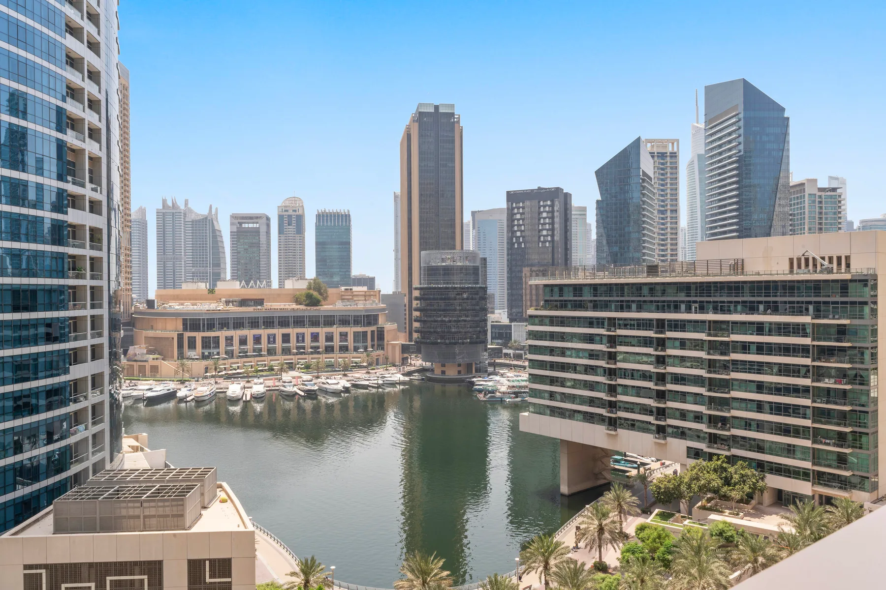 A waterfront marina with moored boats, modern buildings, and a city skyline.