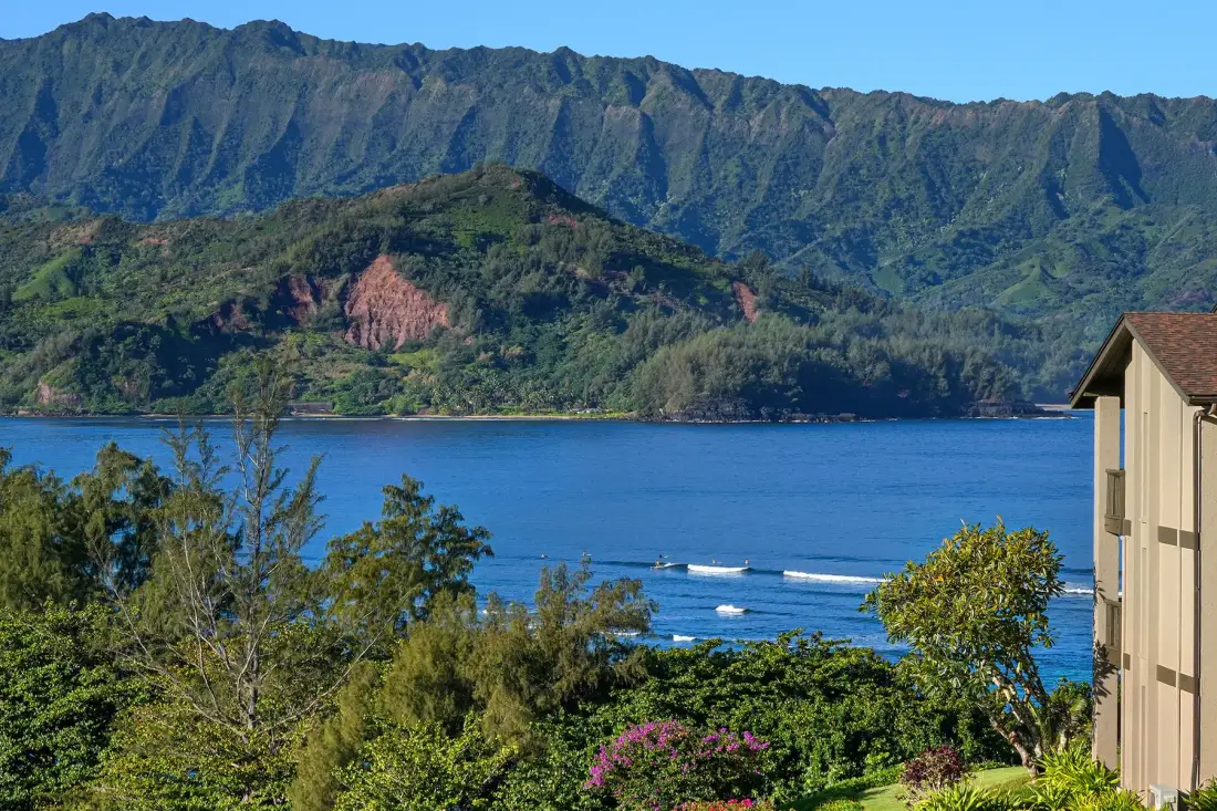 Una bahía con montañas verdes al otro lado del agua y árboles en primer plano.