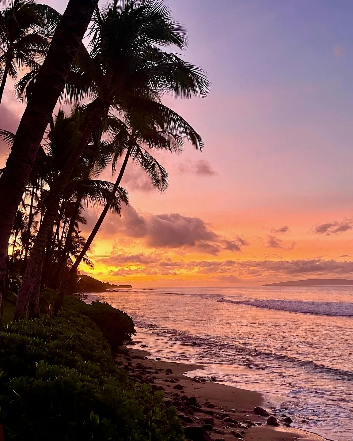 Una playa tropical al atardecer, con palmeras junto a la costa.