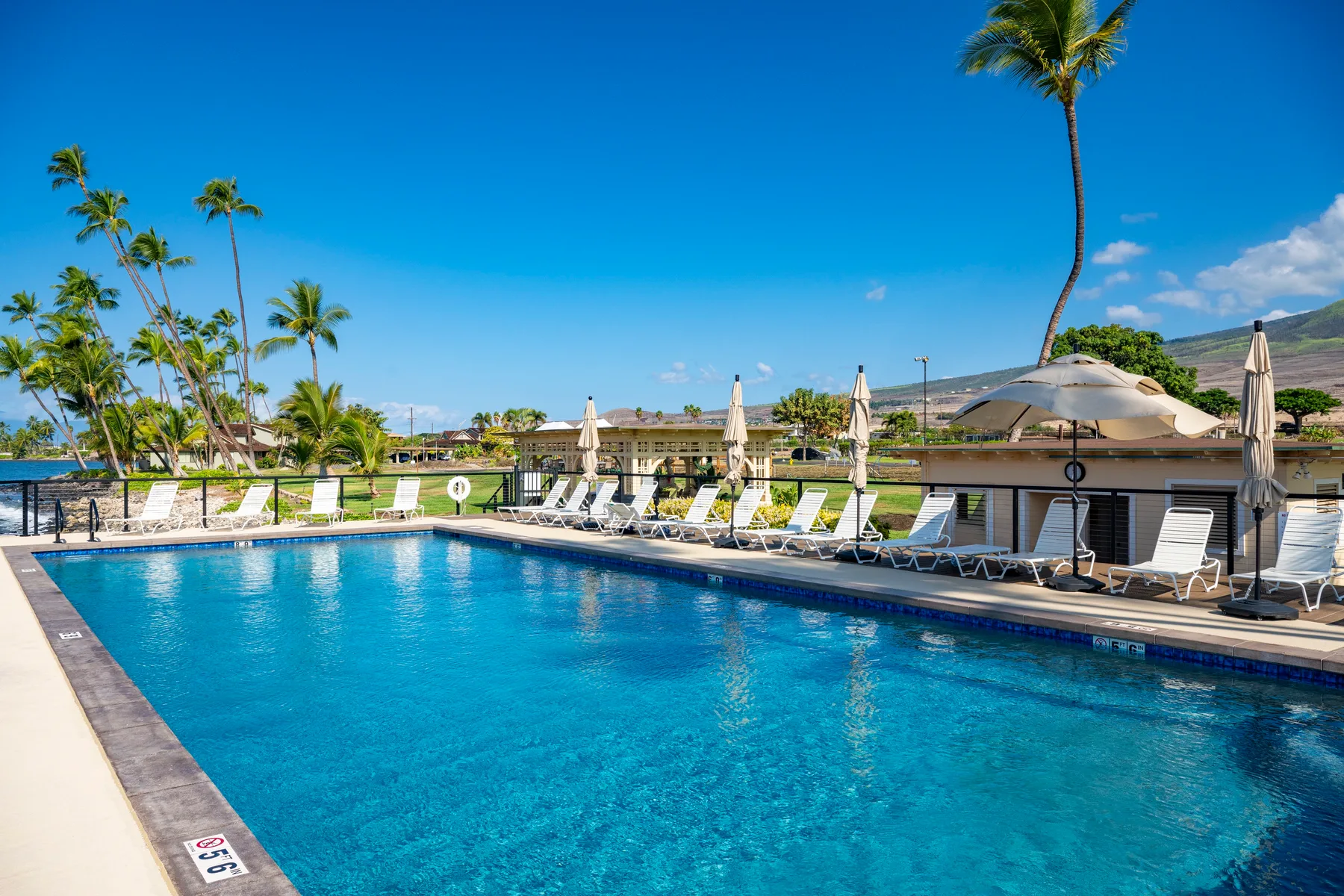 Una piscina rodeada de asientos reclinables y palmeras bajo un cielo azul despejado.