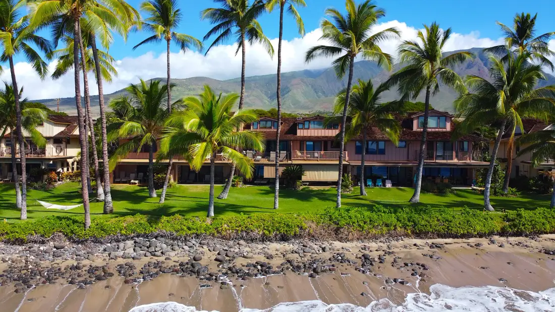 Un edificio junto a la playa está detrás de palmeras, con montañas al fondo.