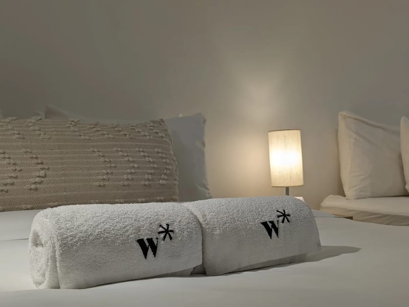 Chic Loft in Plaza Catedral