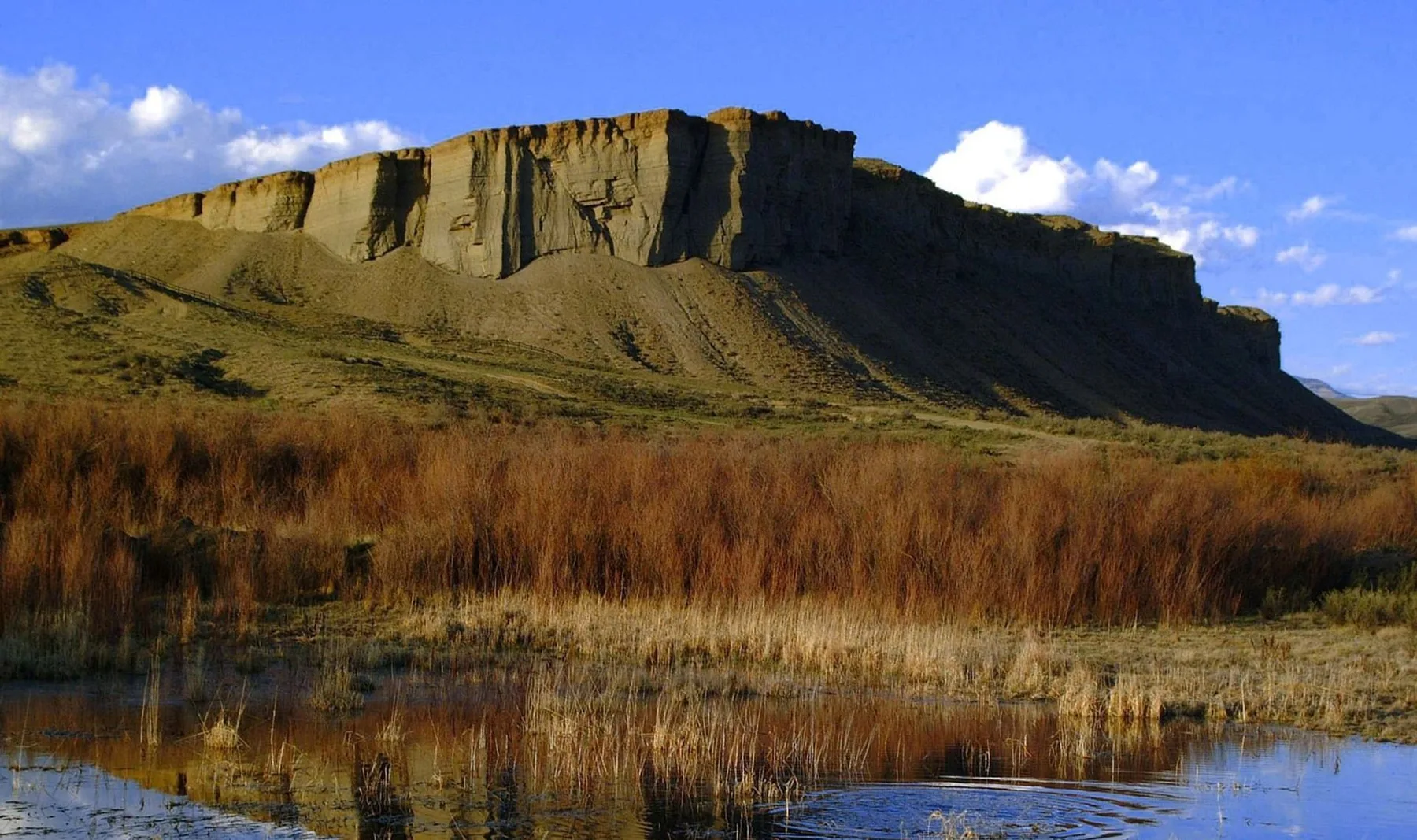 Montaña rocosa reflejada en un estanque con juncos en primer plano.