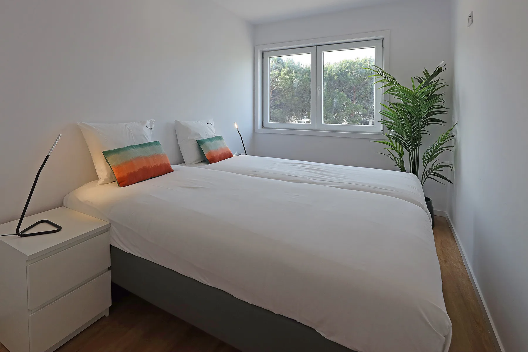 A bright bedroom with two beds, colorful pillows, and a leafy plant by the window.