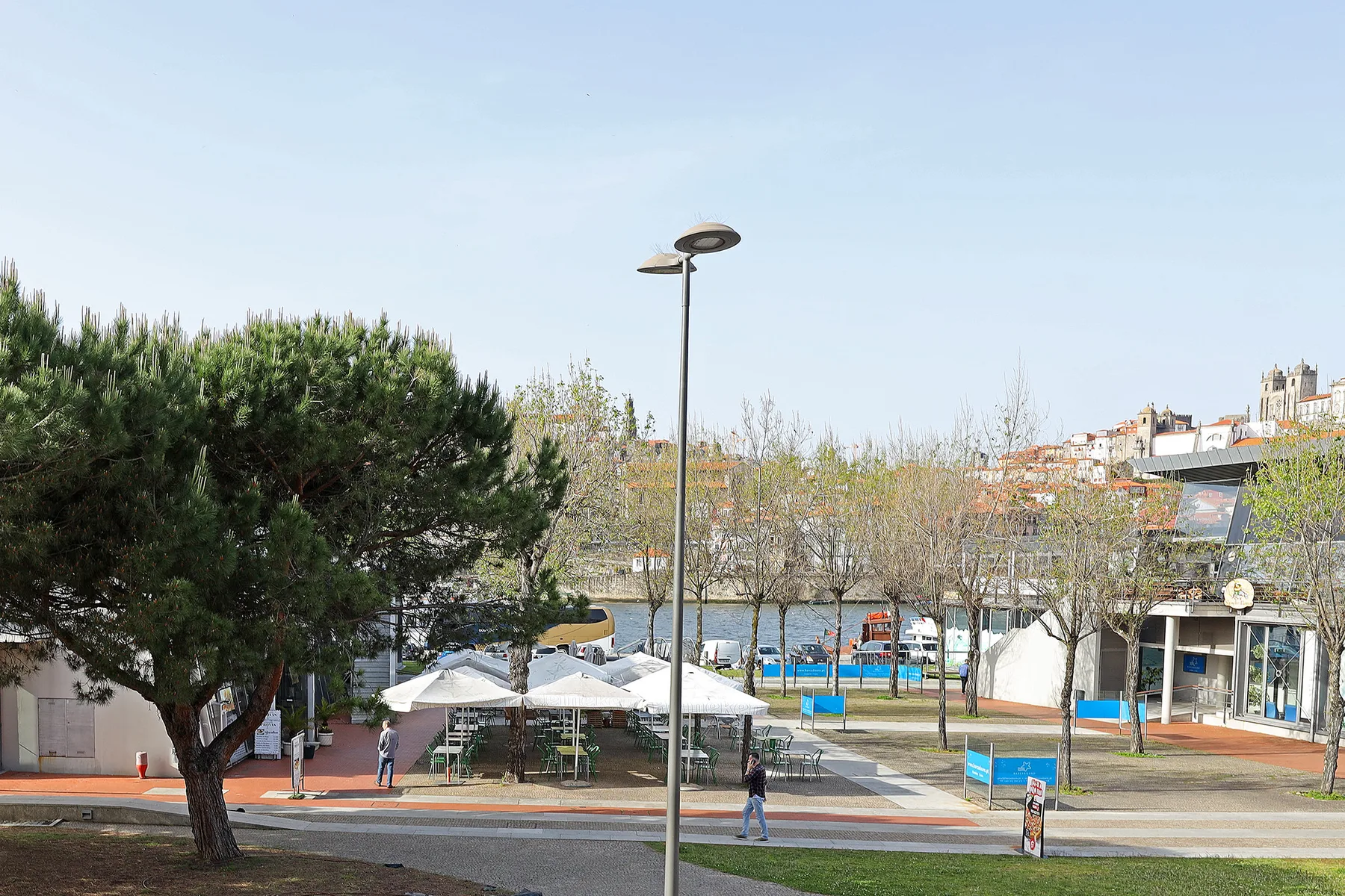 A sunny outdoor plaza has a paved walkway, trees, and seating.