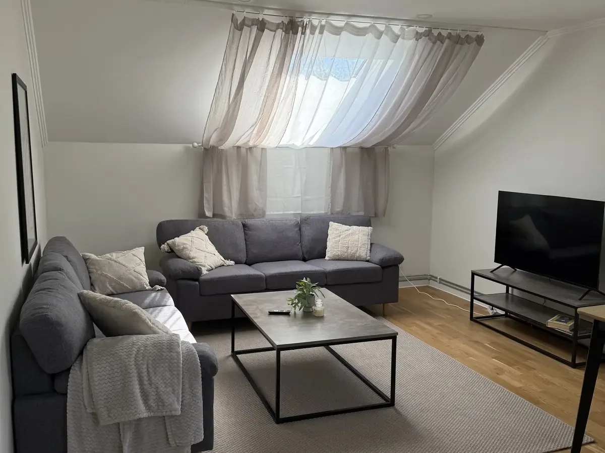 Sala de estar con sofá — apartamento de tres estancias en Nyhemsgatan 29