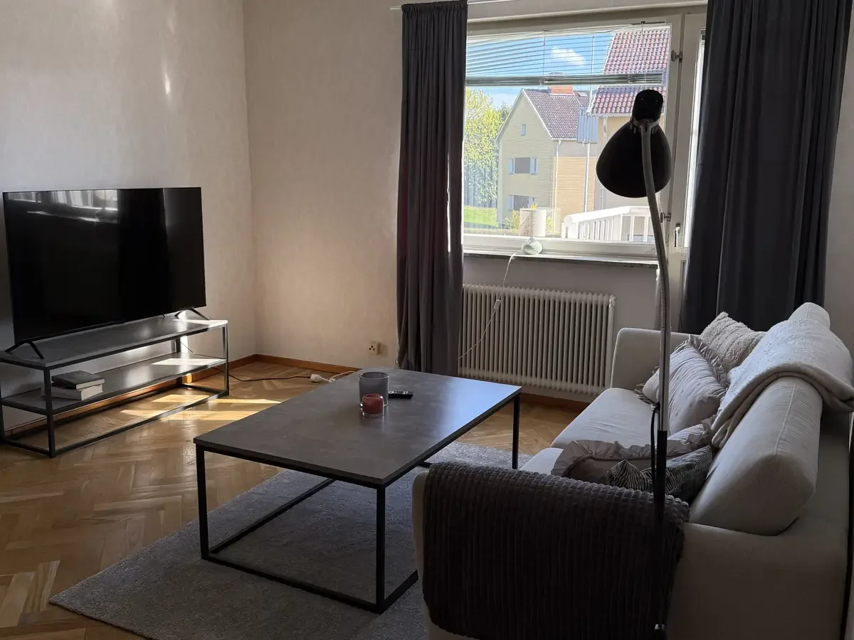 Sala de estar con sofá — apartamento de dos estancias en Nyhemsgatan 29