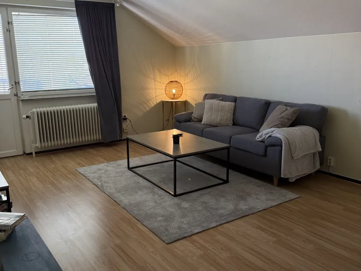 Sala de estar con sofá gris — apartamento de dos estancias en Nyhemsgatan 29