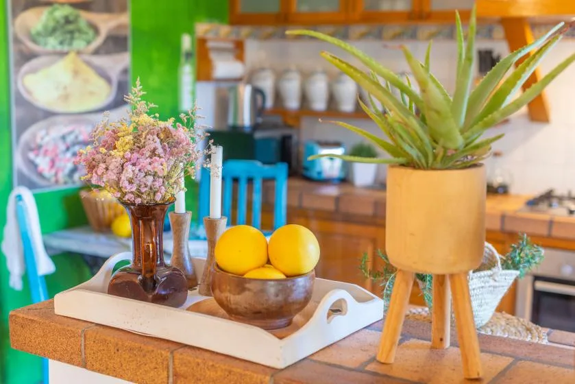 A kitchen counter displays a potted plant, flowers, and a bowl of oranges.