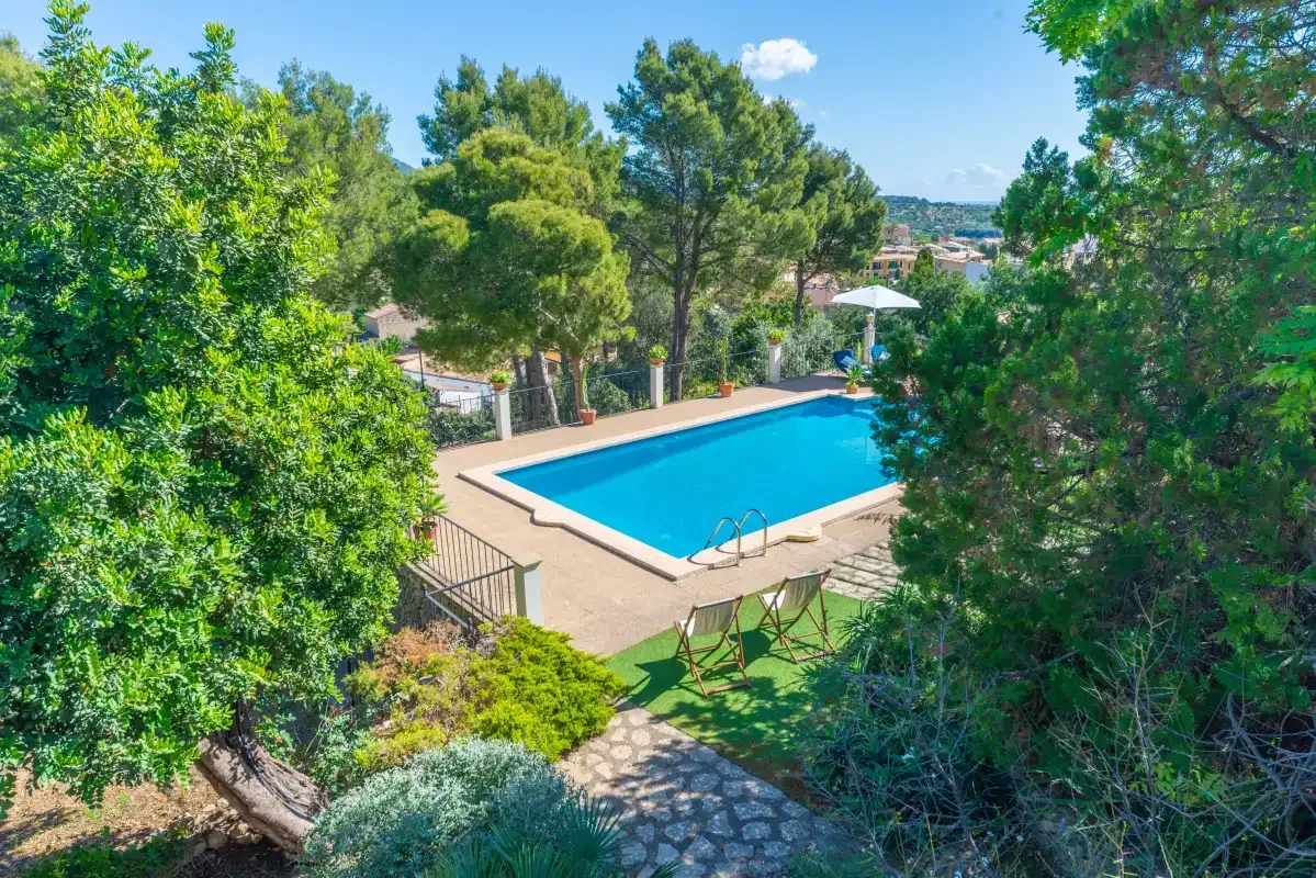An outdoor swimming pool sits among trees and landscaped greenery.