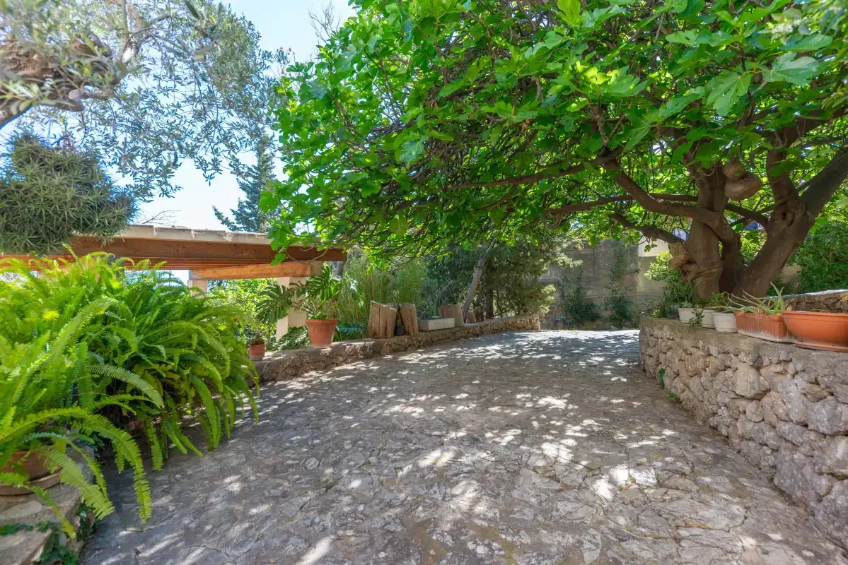 A shaded stone courtyard is bordered by leafy trees and potted plants.