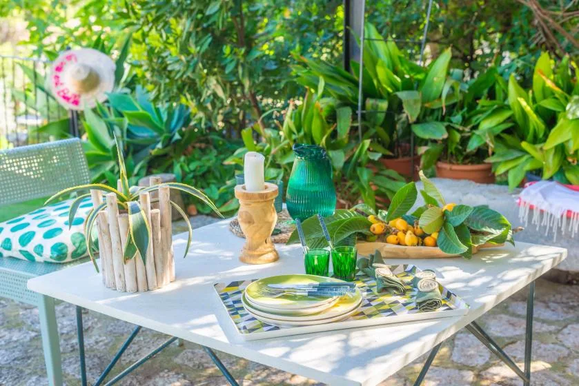 An outdoor dining table is set with plates and surrounded by leafy potted plants.