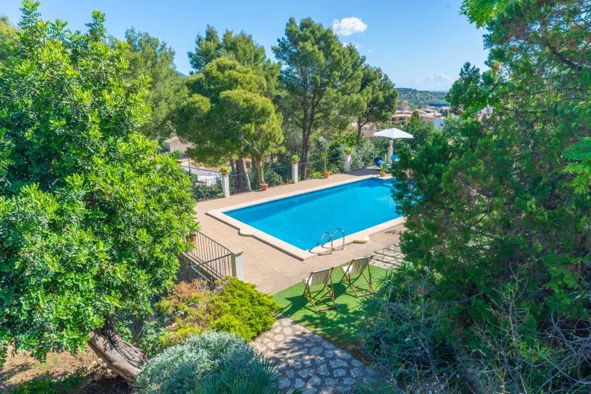 A swimming pool surrounded by trees, with a paved area beside it.