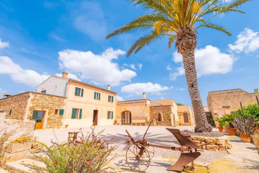 Un patio soleado con edificios de piedra, una palmera y asientos al aire libre.