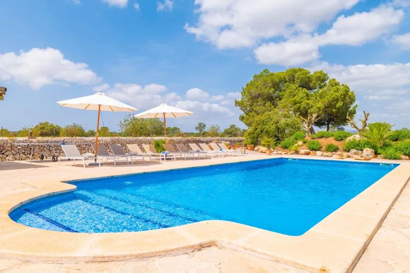 Una piscina al aire libre con tumbonas y sombrillas a su lado.