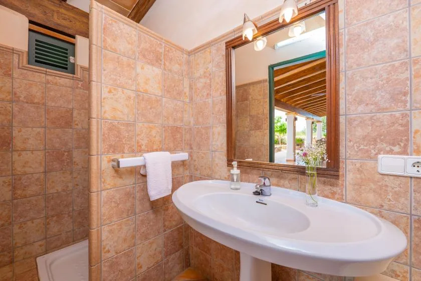 Un baño alicatado con un lavabo grande y un espejo encima.