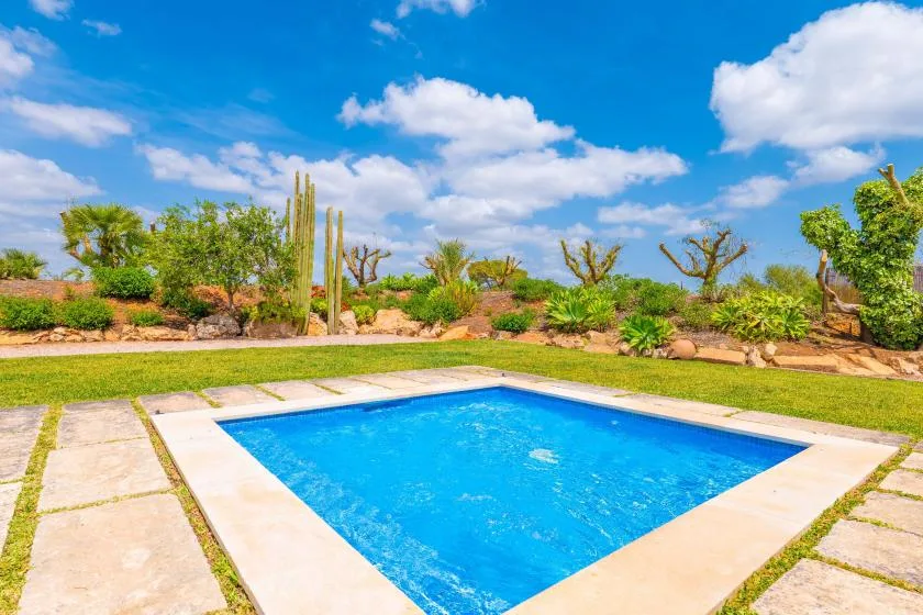 Una piscina se encuentra en un jardín desértico ajardinado bajo un cielo azul.