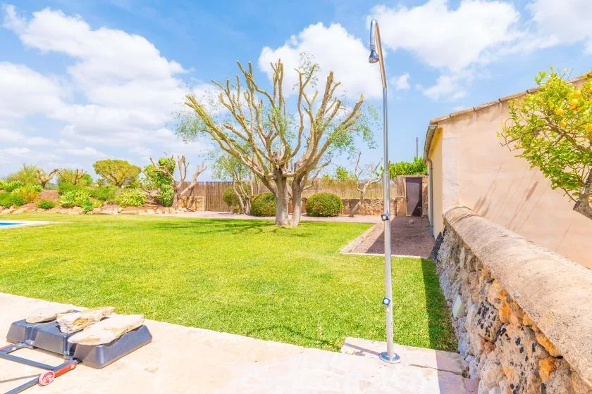 Un jardín soleado con césped, un árbol frondoso, un muro de piedra y el borde de una piscina.