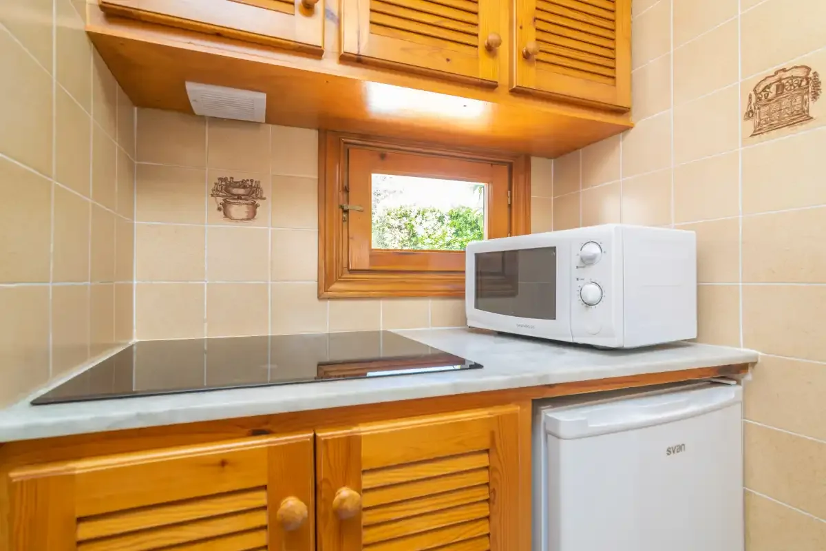 A compact kitchen with wooden cabinets, a cooktop, and a microwave.