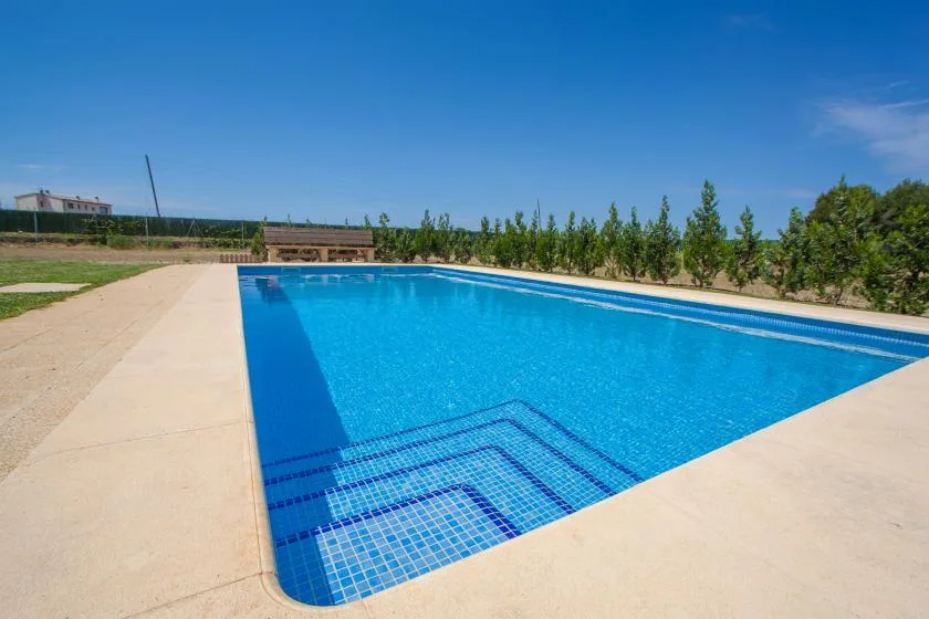 Una piscina al aire libre está junto a una terraza pavimentada y una hilera de árboles.