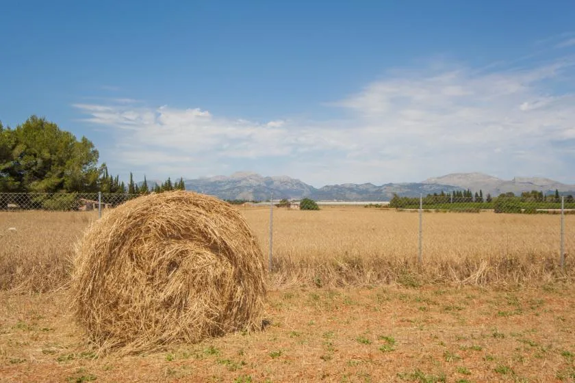 Un campo seco con una gran paca de heno, una cerca y montañas al fondo.
