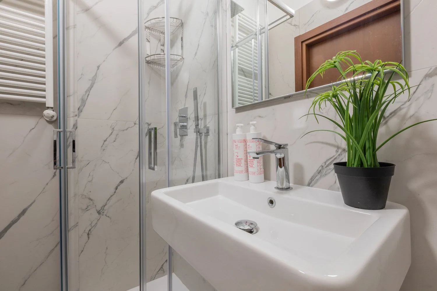 Un baño con una ducha de vidrio y un lavabo con una planta en maceta.