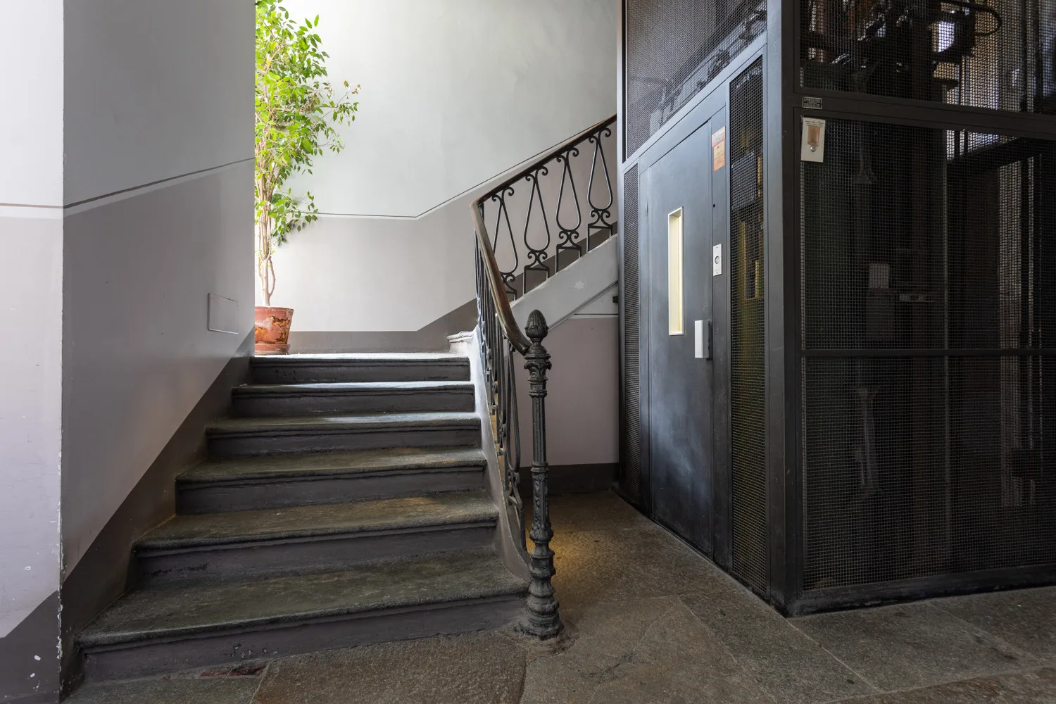 Una escalera con una planta en maceta junto a los peldaños y un cerramiento metálico oscuro.
