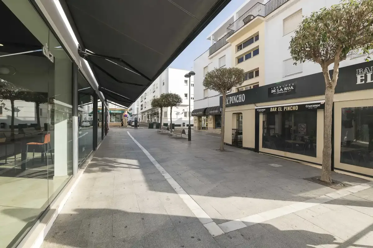 A paved pedestrian street with storefronts and trees.