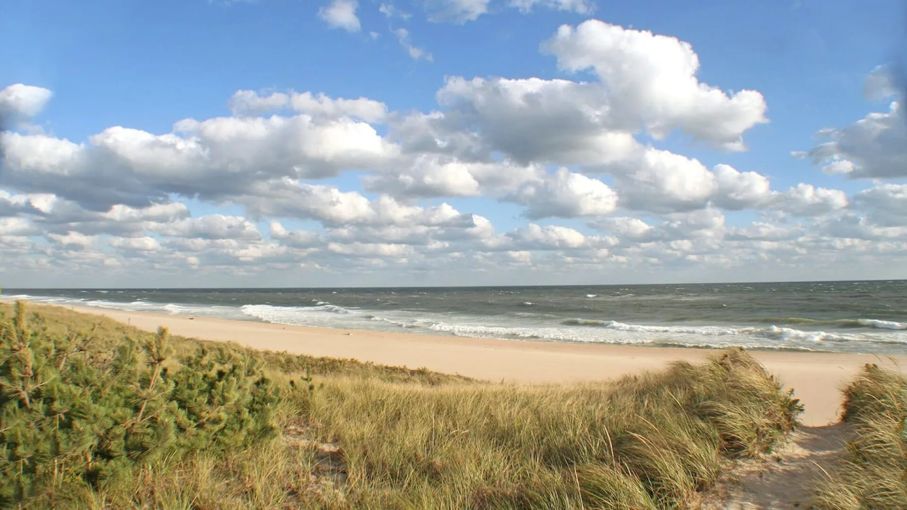 A sandy beach stretches beyond grassy dunes beneath a cloudy sky.