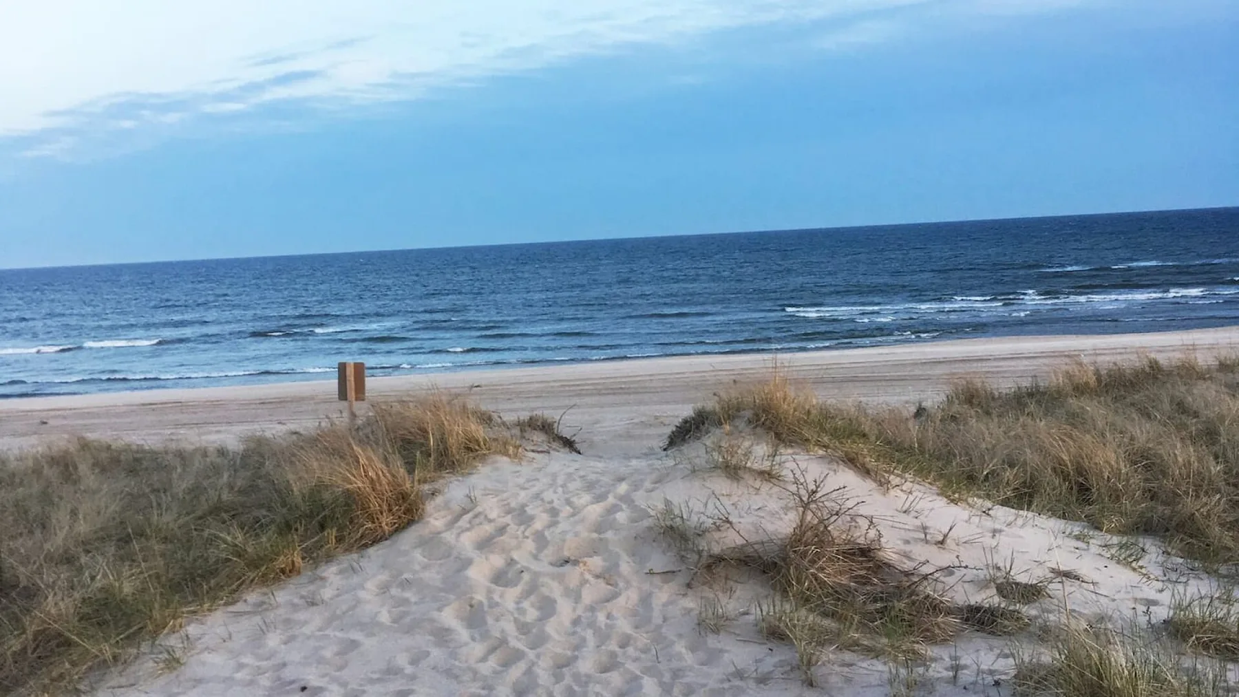 A sandy path through coastal grass leads to the beach and ocean.