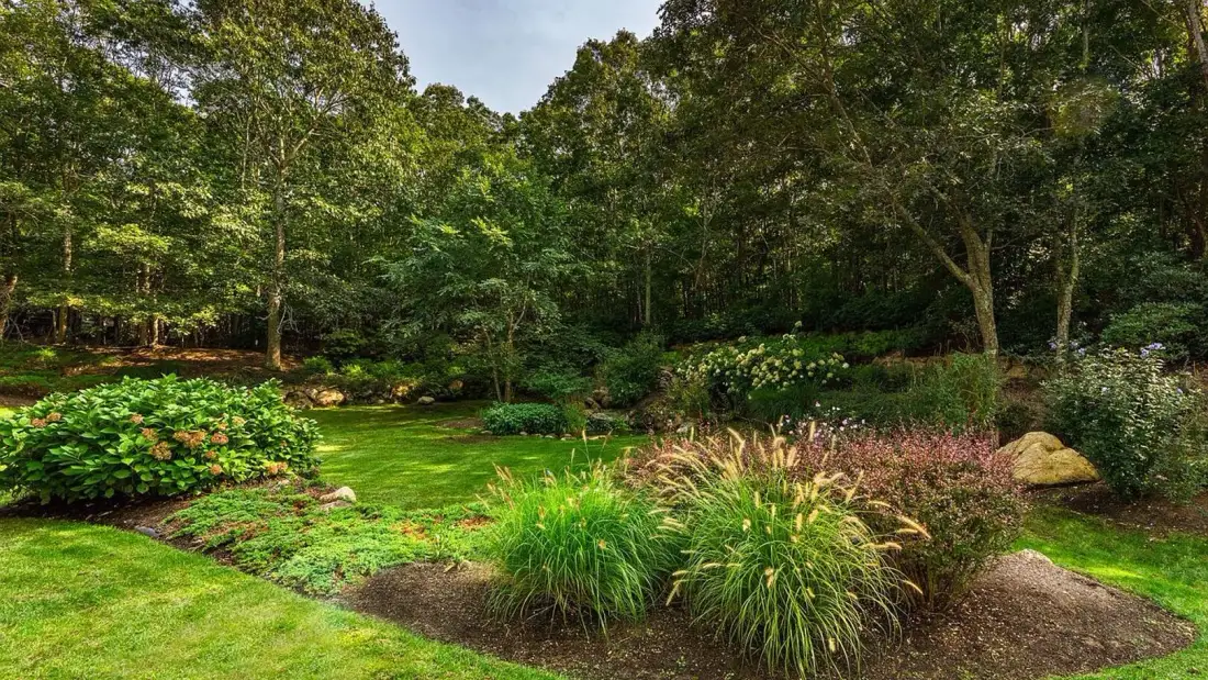 A landscaped garden with ornamental grasses and trees surrounding a green lawn.