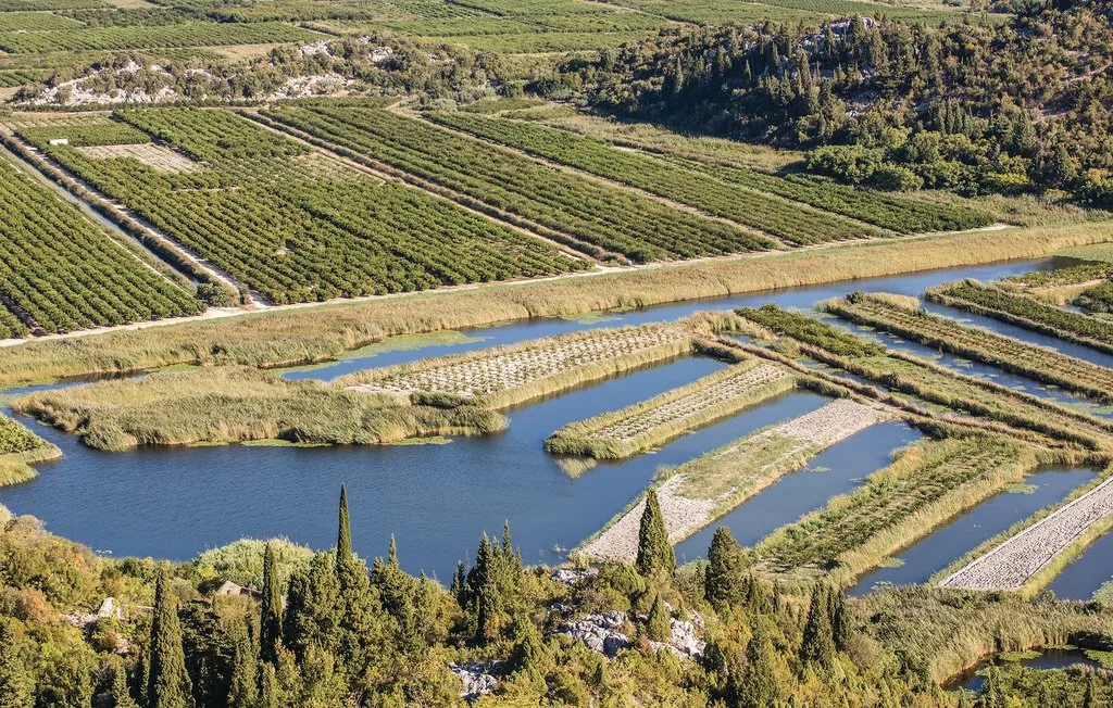 Vista aérea de campos agrícolas y canales de agua entre vegetación verde.