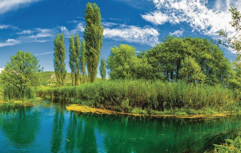 Paisaje junto al río, con agua verde, árboles y un cielo azul despejado.