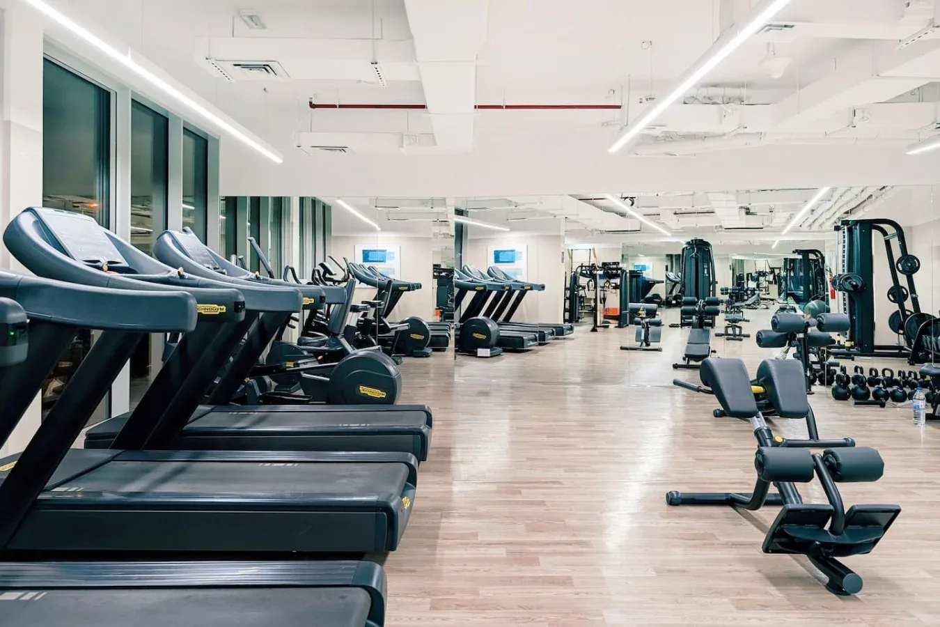 A bright gym with rows of treadmills and other exercise equipment.
