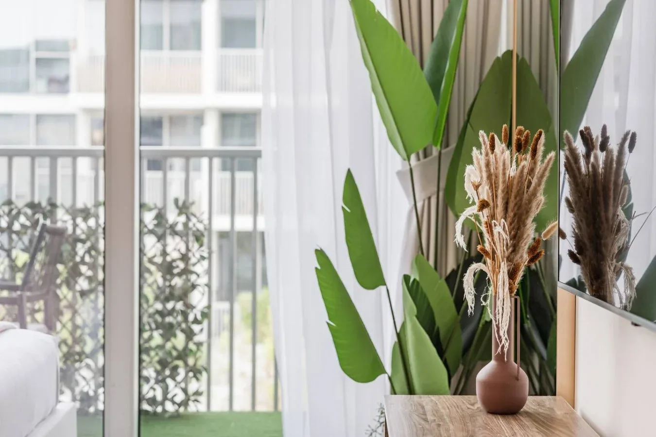 A bright room with a large window and tall leafy plants.