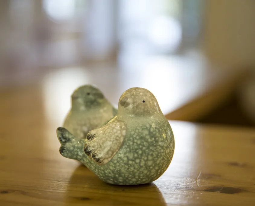 Decoración de pájaros en el hotel