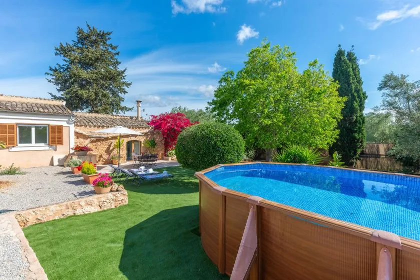 A garden with a blue above-ground pool and a small house.