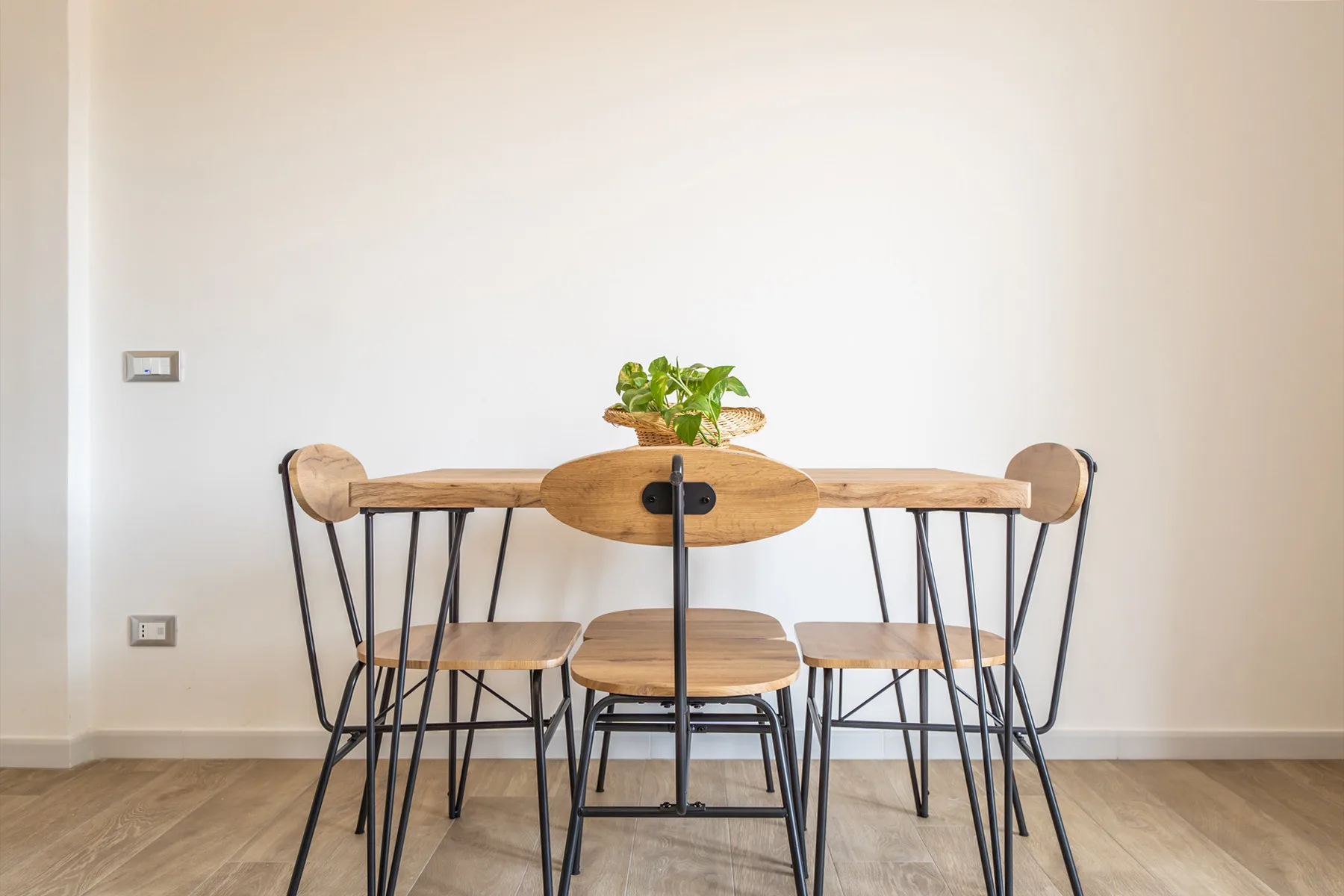 Comedor con una mesa de madera y sillas, y una pequeña planta en el centro.