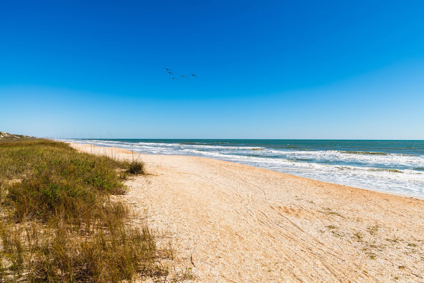 A sandy beach stretches beside the ocean, with dune grass along the shore.