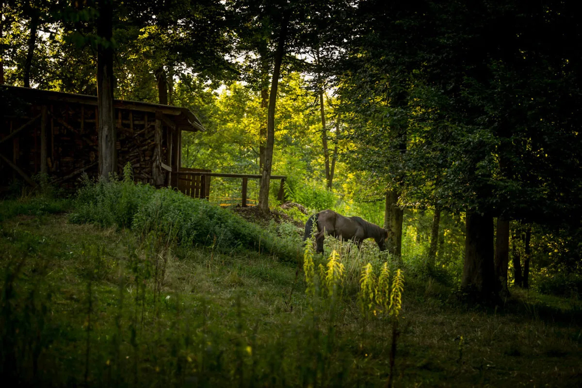 Camping grounds